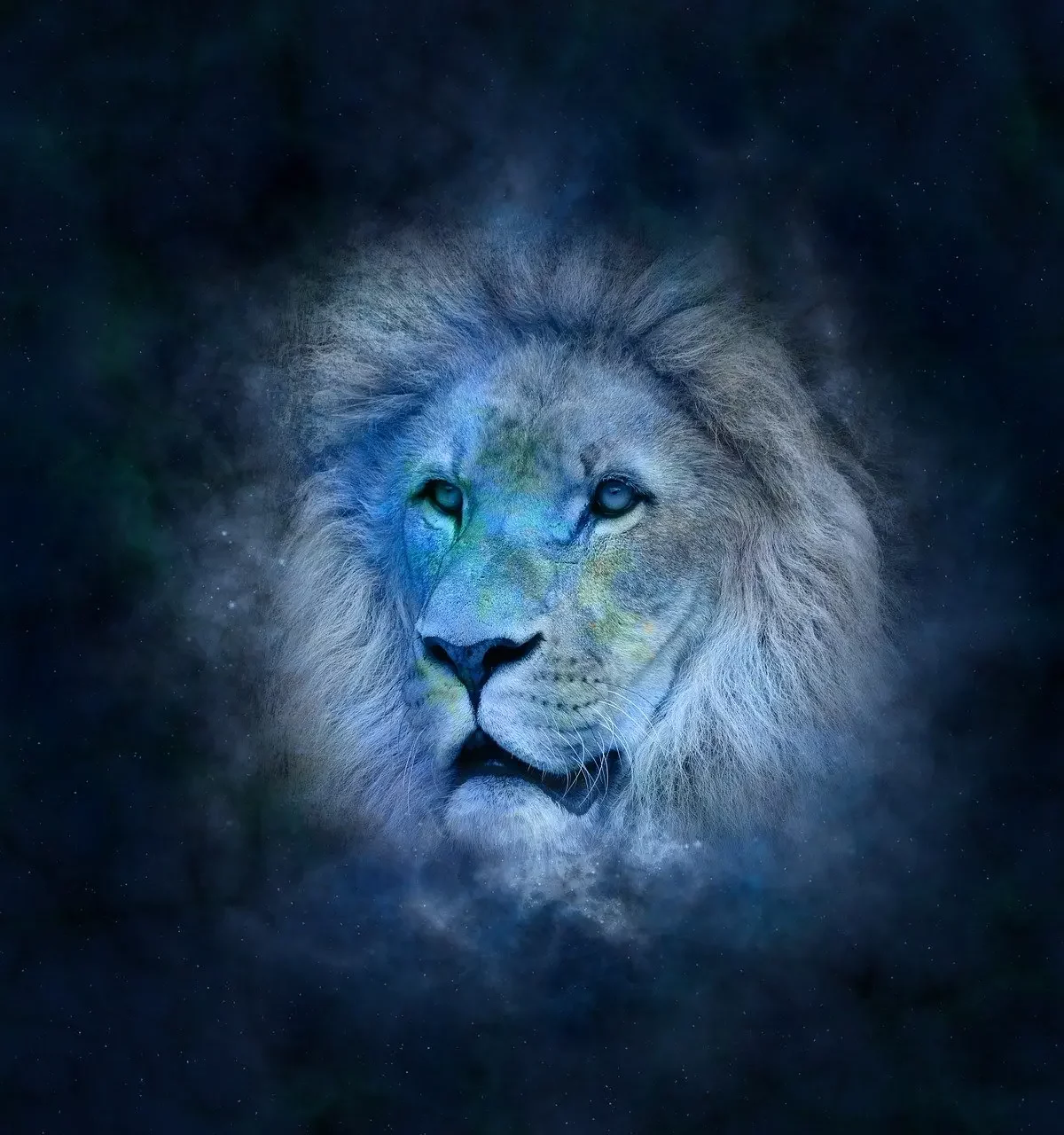 Leo (23 July - 22 August)