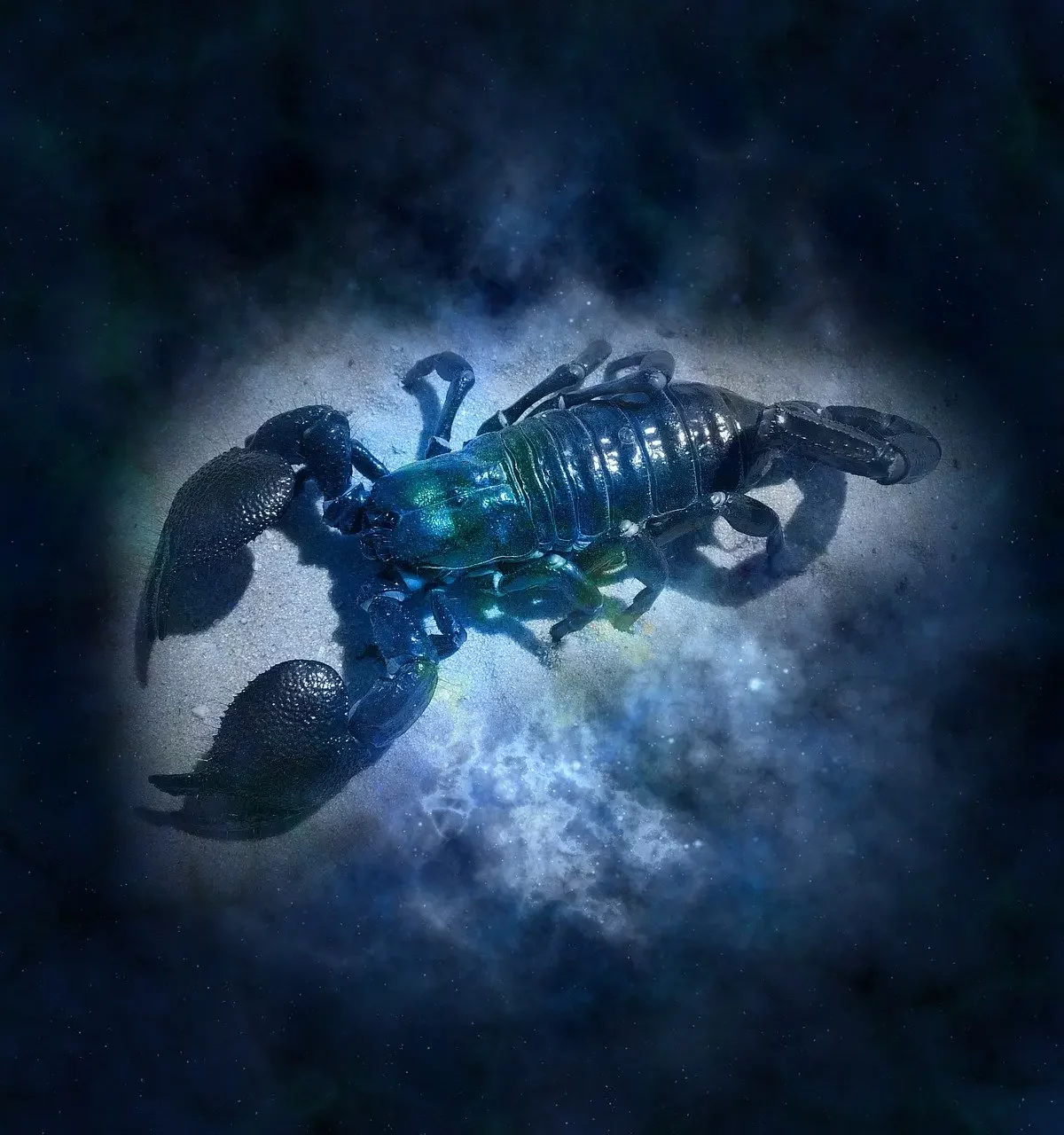 Scorpion (23 Octobre - 21 Novembre)