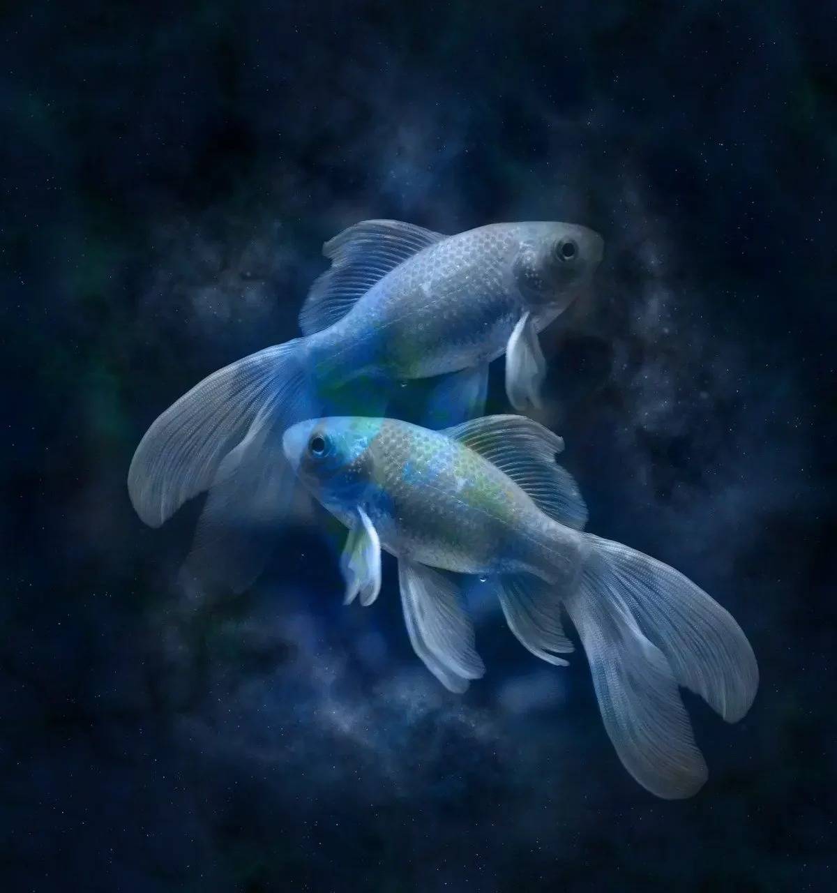Pisces (19 February - 20 March)